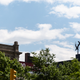 Image for article titled A Nosebleed Tour of the Wind Turbines Taking Over NYC's Rooftops